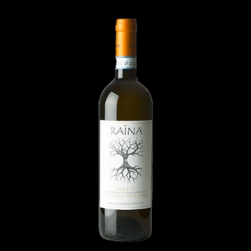 Picture of 2020 Raina - Trebbiano Spoletino