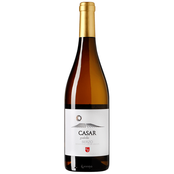 Picture of 2019 Casar de Burbia - Godello