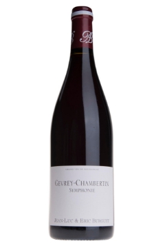 2020 Domaine Burguet - Gevrey Chambertin Symphonie (pre arrival)