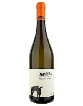 2020 San Salvatore - Falanghina IGP