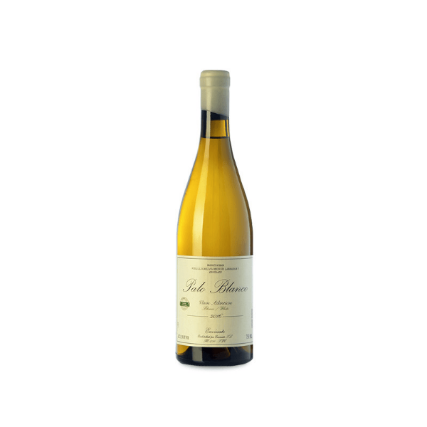 2020 Envinate - Listan Blanco Valle de la Orotava Palo Blanco