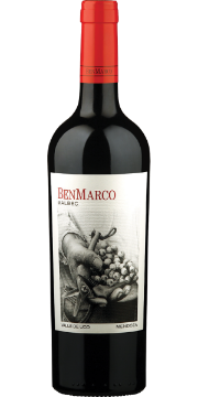 Picture of 2020 BenMarco - Malbec