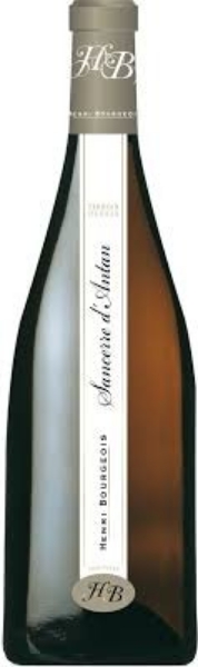 Picture of 2019 Henri Bourgeois - Sancerre d'Antan Silex