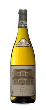 Picture of 2020 Schloss Gobelsburg - Gruner Veltliner  Lamm