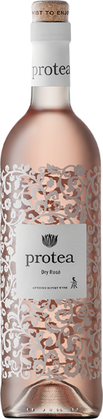 Picture of 2024 Protea -   Rose