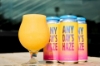 Beer Tree Brew - Any Day's Haze NEIPA 4pk