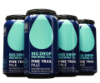 Big Drop Brewing - Pine Trail Pale Ale NA 6pk