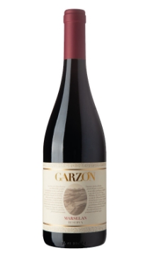 Bodega Garzon Marselan Reserva bottle