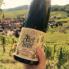 2020 Albert Boxler - Pinot Gris Sommerberg Wibtal Grand Cru