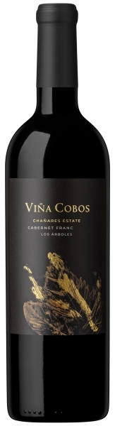Picture of 2019 Vina Cobos (Paul Hobbs) - Cabernet Franc Mendoza Chanares Estate