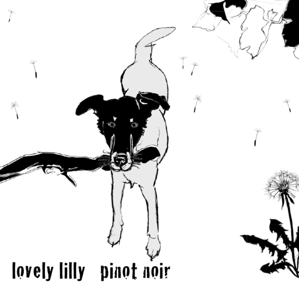 Shelter Winery Lovely Lily Spatburgunder label