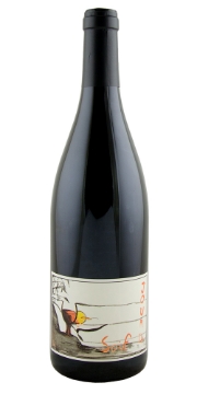 Picture of 2024 Pierre Gauthier - Bourgueil Jour de Soif (750ml)